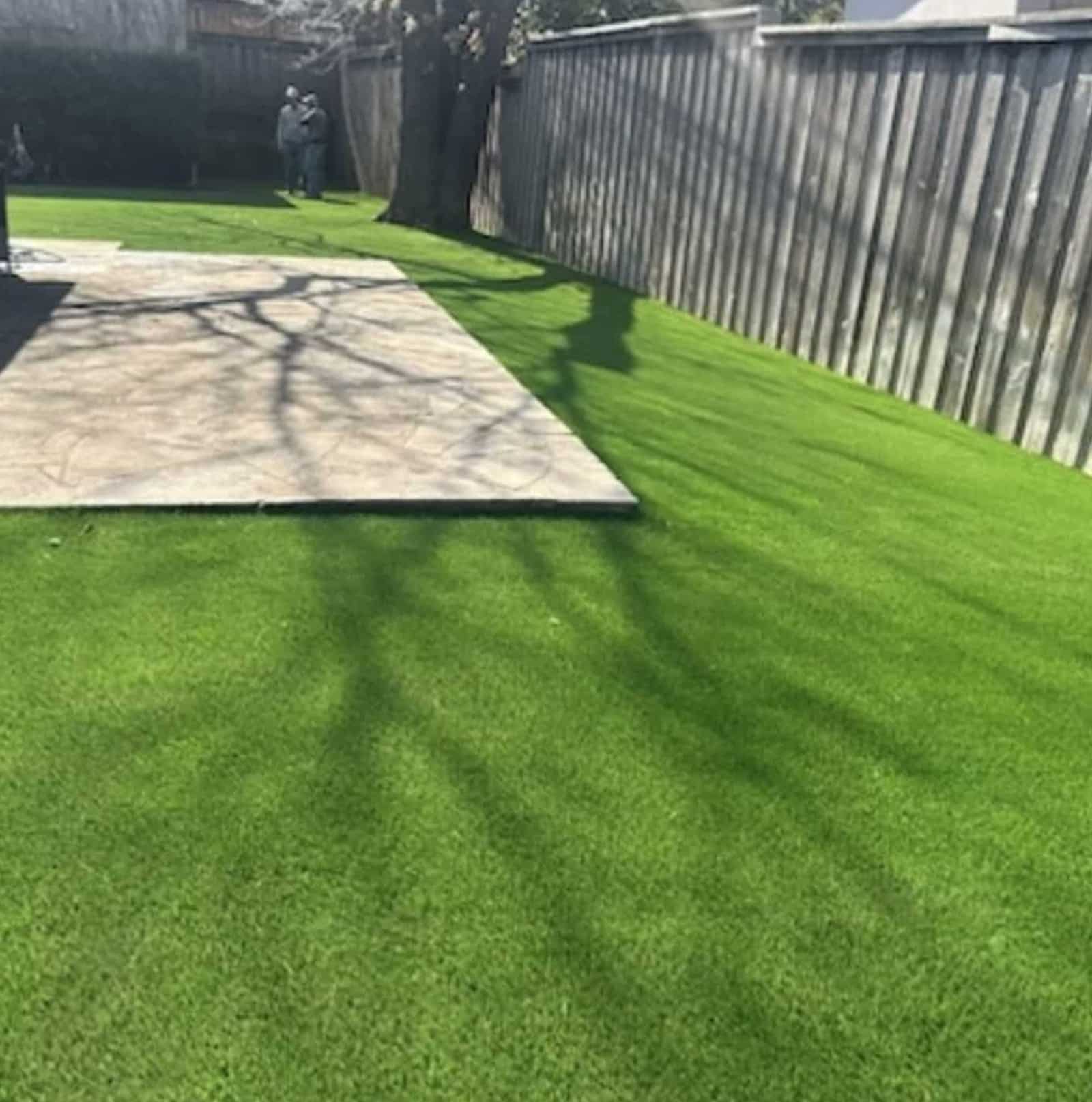 Always Beautiful, No Matter the Weather