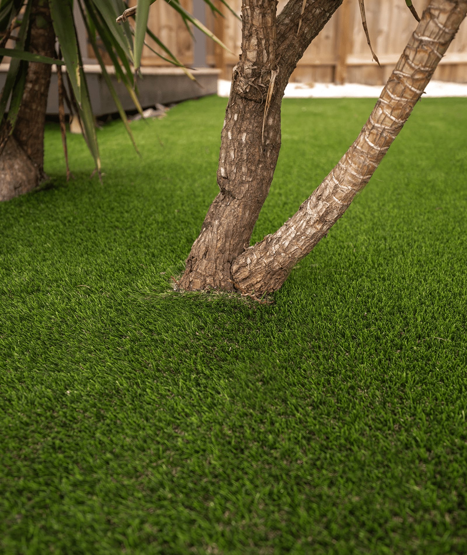 Lawns That Stay Green Without the Constant Upkeep Lawns That Stay Green Without the Constant Upkeep