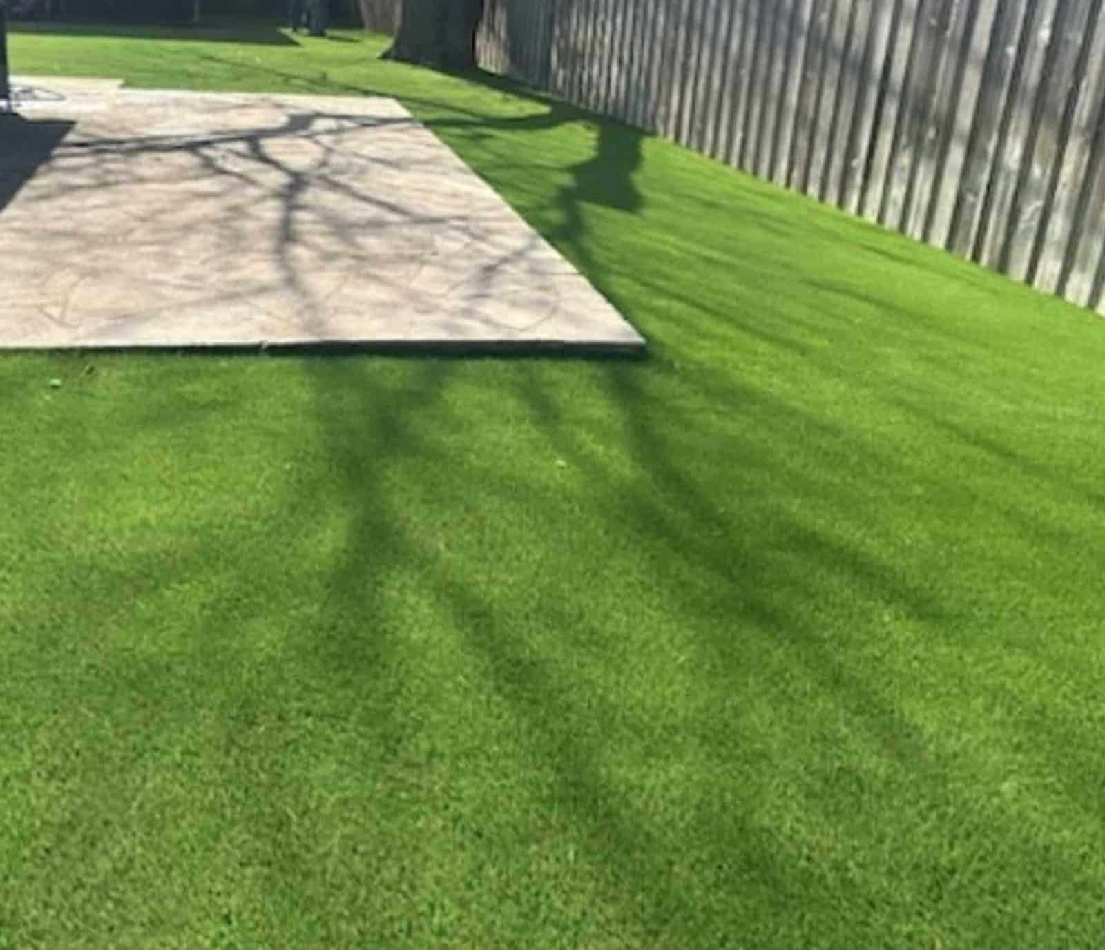 Always Beautiful, No Matter the Weather