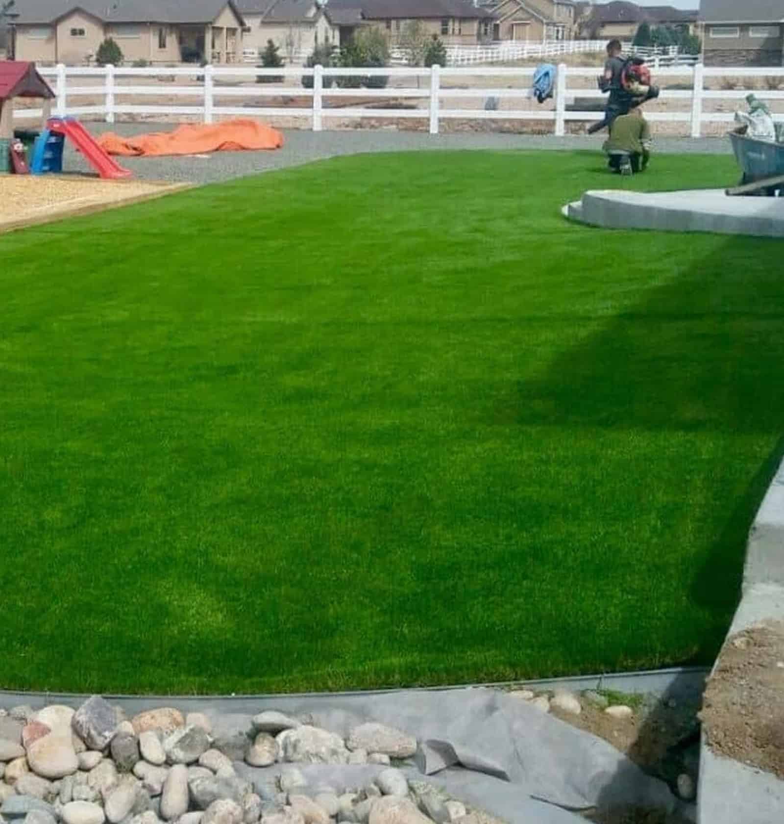 Synthetic Grass and Beyond