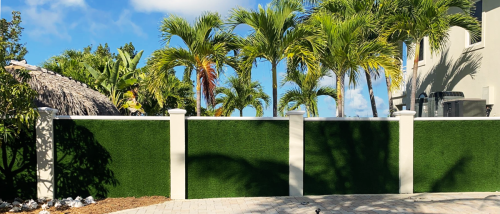 ivy-wall-1b