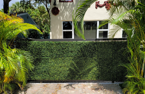 ivy-wall-2b