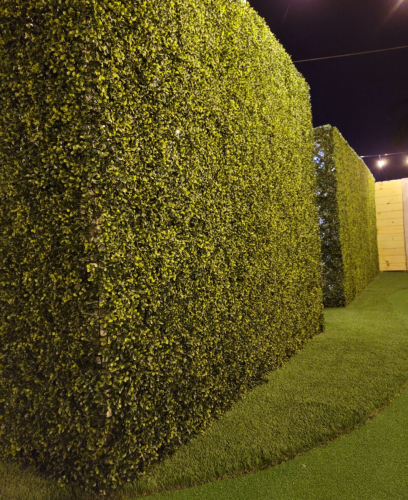 ivy-wall-3