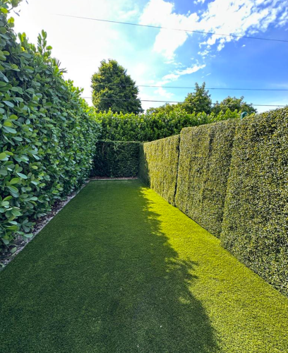 ivy-wall-6
