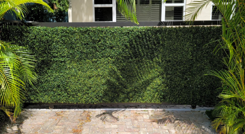 ivy-wall-services
